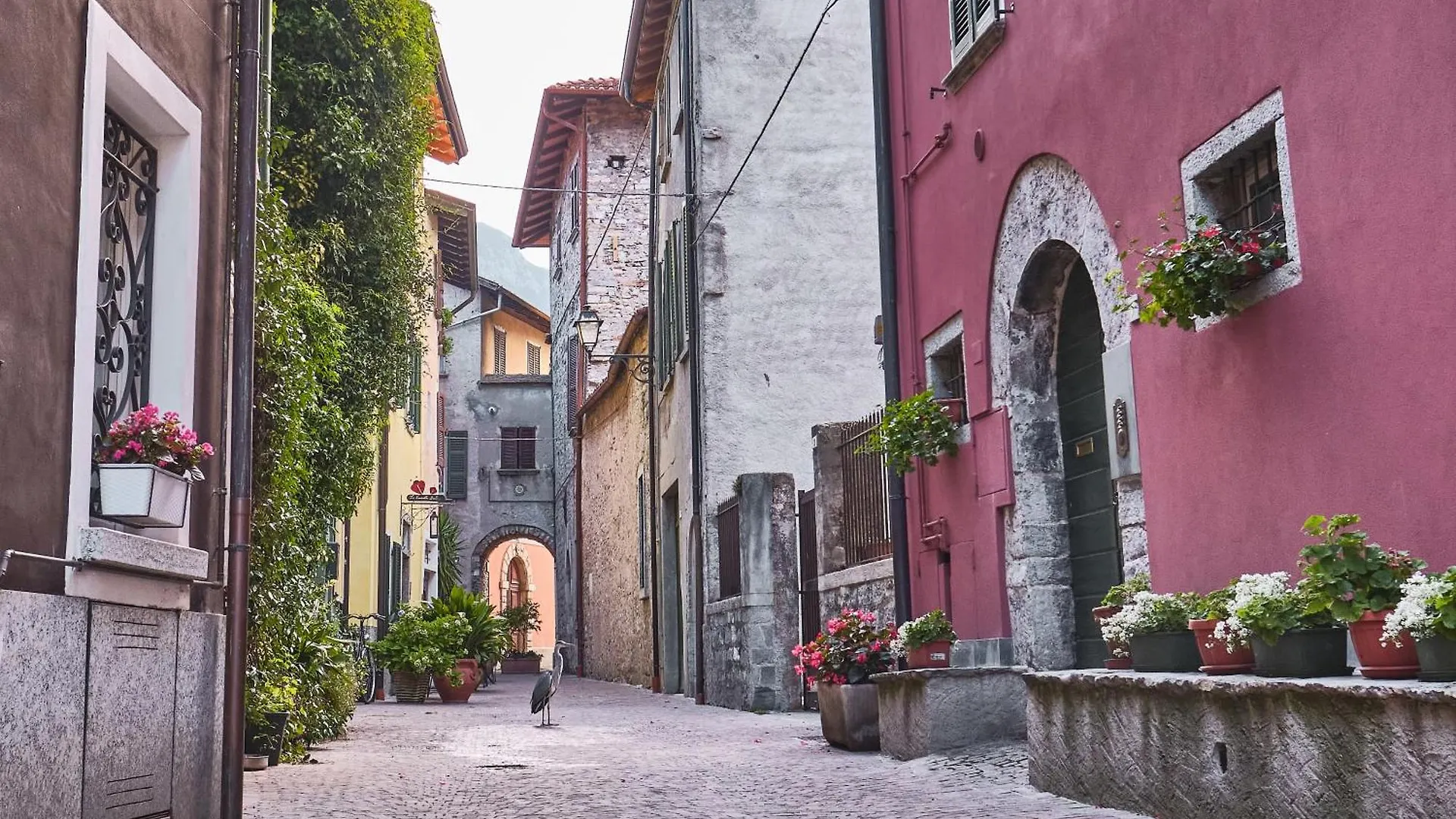 La Casa Del Fotografo Apartment Mandello del Lario